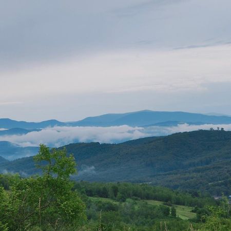Соколів Камінь Novoselitsa  Bagian luar foto