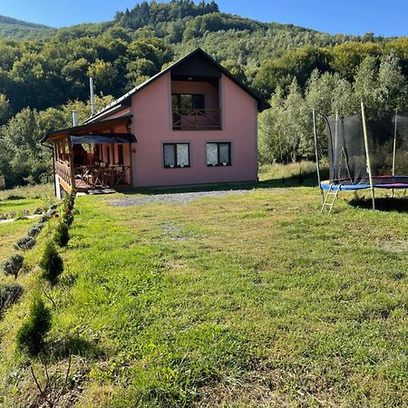 Соколів Камінь Novoselitsa  Bagian luar foto