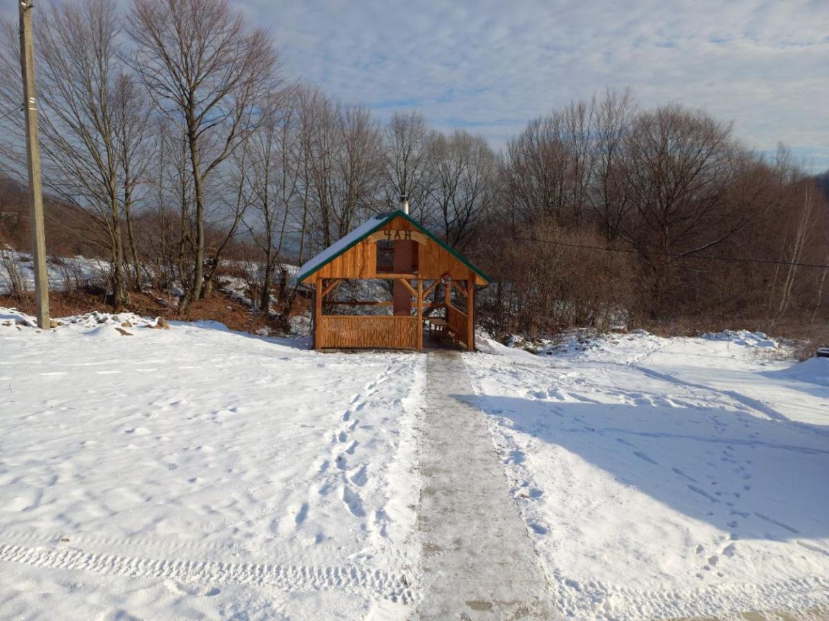 Соколів Камінь Novoselitsa  Bagian luar foto