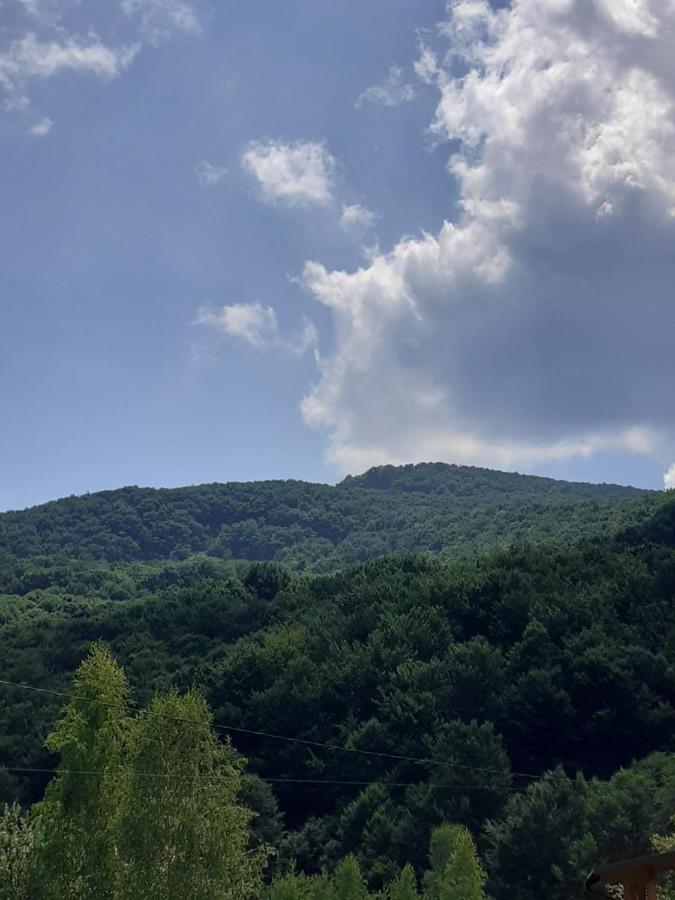 Соколів Камінь Novoselitsa  Bagian luar foto