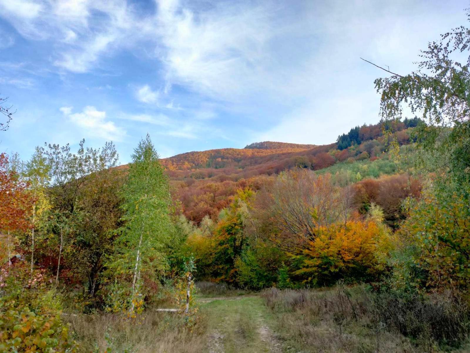 Соколів Камінь Novoselitsa  Bagian luar foto