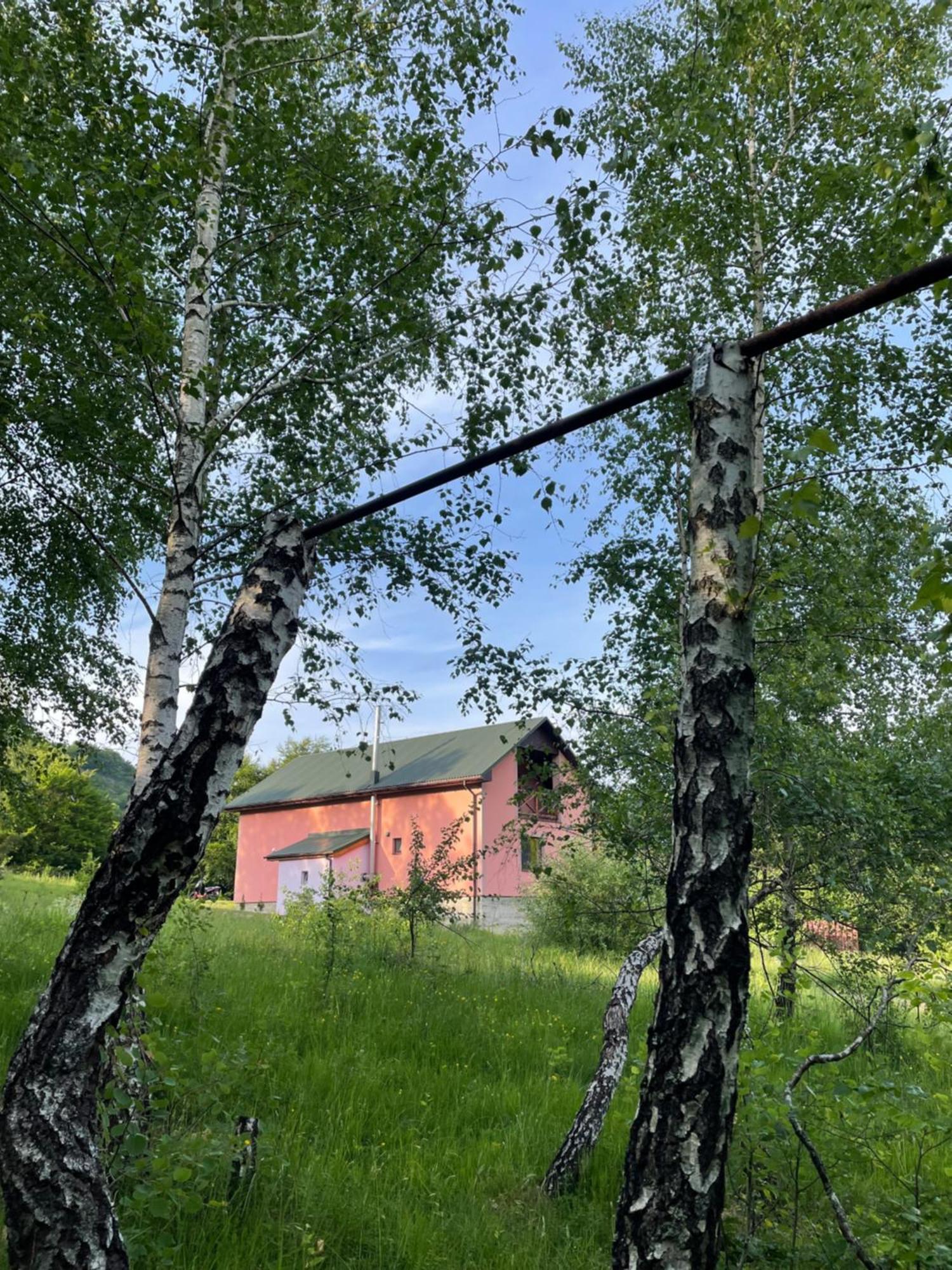 Соколів Камінь Novoselitsa  Bagian luar foto